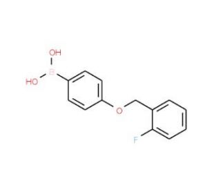 Fluorobenzyloxy Phenylboronic Acid Cas Santa Cruz