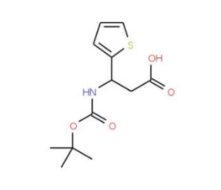 Boc R Amino Thienyl Propionic Acid Cas Santa