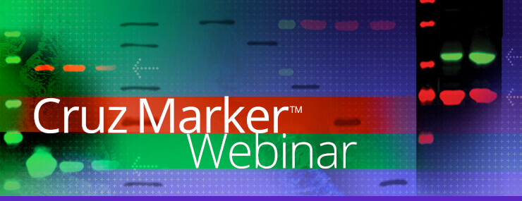 Cruz Marker Webinar hero image