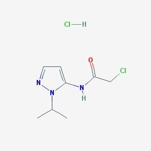 2 Chloro N 1 Isopropyl 1H Pyrazol 5 Yl Acetamide Hydrochloride CAS 1171453 82 9 Santa Cruz